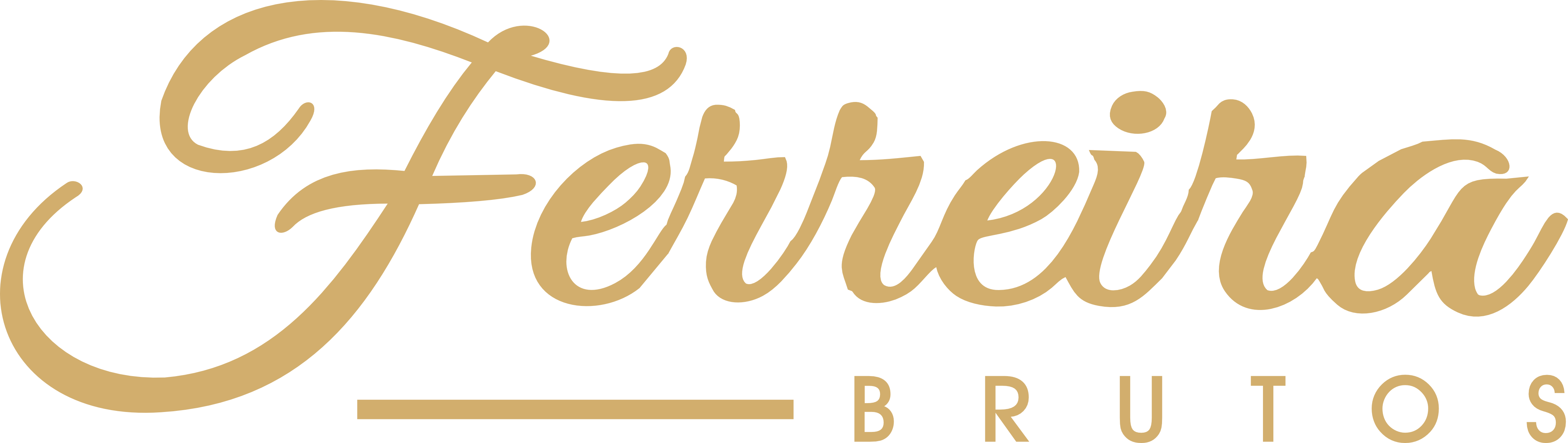 FERREIRA BRUTOS